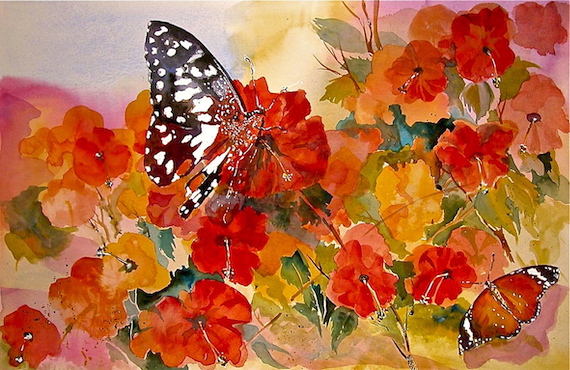 Butterflies & hibiscus, Yarmook, Sharjah, United Arab Emirates.